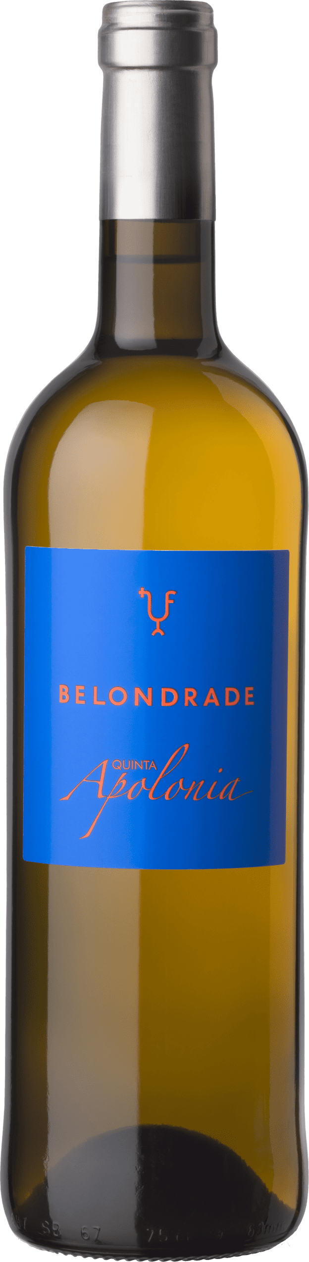 Baltas sausas vynas BELONDRADE QUINTA APOLONIA.